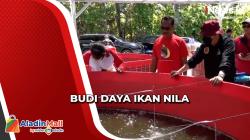 Pemerintah Ajak Pemuda Papua Budi Daya Ikan Nila
