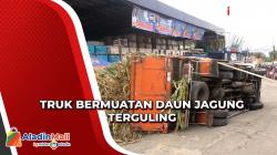 Truk Bermuatan Daun Jagung Terguling akibat Kelebihan Muatan dan Jalan Rusak