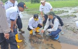 Tertutup Material Erupsi Gunung Kerinci, 10 Hektare Sawah Warga Tak Bisa Digarap