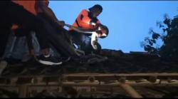 Ular Piton Sepanjang 3,5 Meter Masuk Dapur Rumah, Warga Panik