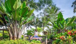 Harga Tiket Masuk Cimory On The Valley Terbaru 2023, Dari Rp15.000 hingga Rp35.000<