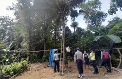 Bersihkan Pelepah Kelapa, Kakek di Kulonprogo Jatuh dari Pohon Setinggi 6 Meter