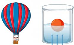 5 Contoh Soal Hukum Archimedes dan Pembahasannya Kunci Jawabannya