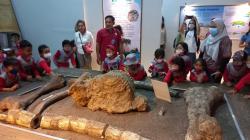 Museum Sangiran Ramai Dikunjungi Pelajar, Tempat Menarik untuk Edukasi