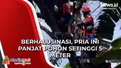 Pria Panjat Pohon di Tambora karena Berhalusinasi Usai Konsumsi Miras dan Narkoba