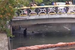 Viral Pria Ceburkan Diri ke Kali usai Dituduh Maling di Jakpus