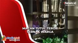 Macan Tutul Diduga Terkam Ternak di Jepara, Warga Lapor ke TNI-Polri dan BKSDA