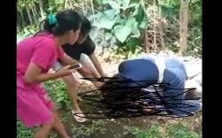 Kronologi Siswi SMA Di-bully hingga Tulang Rusuk Retak, Berawal Saling Ejek di Media Sosial 