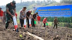 Manfaatkan Lahan Bekas Tebangan, Polda Jateng Tanam Jagung di Candirejo Semarang