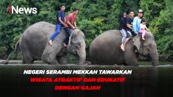 Negeri Serambi MekKah Tawarkan Wisata Atraktif dan Edukatif dengan Gajah 