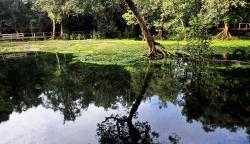 Viral Hutan Negeri Dongeng Dikelilingi Keindahan Danau di Biak Papua