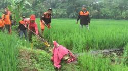 Seekor Buaya Lepas dari Kandang di Jepara, Diketahui Pelajar yang Berangkat Sekolah<