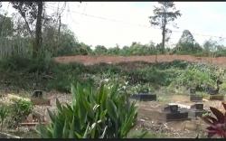 Pemkot Palembang Bantah Makam Covid-19 Digusur Proyek Jalan Tol Kapal Betung <