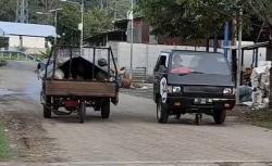 Viral Mobil Pikap Terbelah Dua, Sopir Melongo Lihat Bak Jalan Sendiri