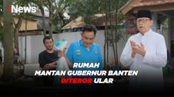 Rumah Mantan Gubernur Banten Dikirimi Ular oleh Orang Tak Dikenal 