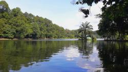 Harga Tiket Masuk Situ Gede Bogor, Orang hingga Kendaraan