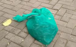 Rumah Mantan Gubernur Banten Wahidin Halim Dilempar Sekarung Ular, Polisi Turun Tangan