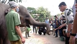 Foto Solo Safari Resmi Dibuka