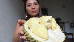 Berburu Durian Mbah Woro Berasal dari Pohon Usia 200 Tahun, Segini Harganya