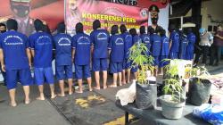 14 Pengedar Narkoba di Cimahi dan KBB Ditangkap, 1 Pelaku Tanam Ganja di Polibag<