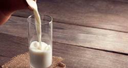 Ini Ragam Manfaat Susu Steril bagi Kesehatan, Tingkatkan Sistem Kekebalan Tubuh