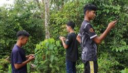 Potret Orang Pedalaman Naik Bukit Cari Sinyal Internet