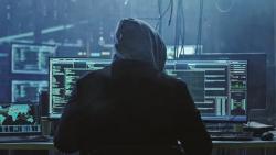 Curi Data Hampir Seluruh Warga Austria, Hacker Muda Ini Ditangkap Polisi Internasional