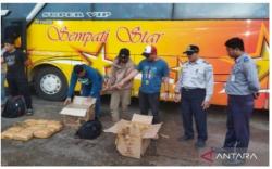 Polisi Gagalkan Penyelundupan 30 Kg Ganja Asal Aceh di Palembang <