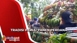 Tradisi Panen Perdana Awal Tahun, Ratusan Warga Majalengka Pawai Keliling Desa