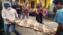 Hindari Jalan Rusak, Pelajar di Garut Tabrak Penyeberang lalu Dihantam Pemotor Lain<