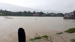Embung Jebol akibat Hujan Lebat di Aceh, Rumah dan 30 Hektare Tanaman Padi Kebanjiran