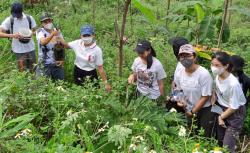  Peduli Lingkungan, Ribuan Mahasiswa Unika Tanam Pohon di Lahan Kritis Tinjomoyo 