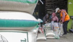 Harga Beras Jakarta dan Bandung Terus Naik