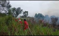  Lahan Gambut di Ogan Ilir Terbakar, Petugas Sempat Kewalahan Memadamkan Api <