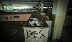 Kondisi Pasar Tanah Abang Blok G Terbengkalai Ditinggal Pedagang dan Pembeli