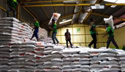 400.000 Ton Beras Impor Bakal Tiba di RI, Buwas Janji Ini yang Terakhir<