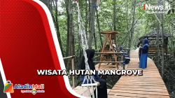 Hilangkan Penat, Mengunjungi Wisata Hutan Mangrove di Sampang