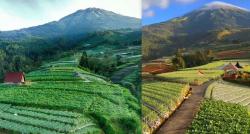 Singgah ke Negeri Sayur Desa Sukomakmur yang Indah bak Lukisan Alam, seperti Ini Suasananya!