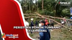 Pengendara Motor Tertimpa Pohon Tumbang hingga Tewas di Lembang