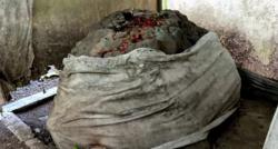 Merinding, Ular Bertapa Berubah Jadi Batu di Pinggir Jalan Raya, Ternyata Peninggalan Zaman Majapahit