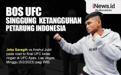 Infografis Bos UFC Singgung Ketangguhan Petarung Indonesia Jeka Saragih