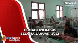 Hati-Hati! Kasus Demam Berdarah Meningkat Drastis di Sikka