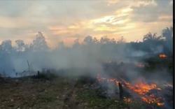  Petani di Muara Enim Ditangkap gegara Bakar Lahan untuk Berkebun<