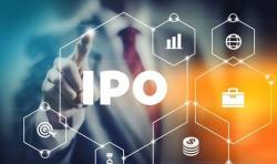  Widiant Jaya IPO, Tawarkan Harga Rp100-Rp115 per Saham 