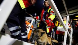 Tim SAR Internasional Bawa Anjing Pelacak Berangkat ke Turki Bantu Cari Korban Gempa