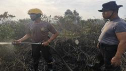 Kebakaran Lahan Gambut di Mempawah, Polisi Berjibaku Padamkan Api