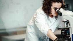 Contoh Teks Laporan Hasil Observasi Hewan yang Lengkap dan Sistematis