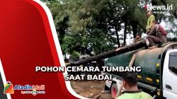 Pohon Cemara Tumbang Timpa Truk Tangki saat Badai