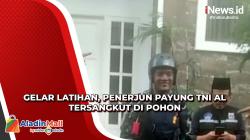 Gelar Latihan, Penerjun Payung TNI AL Tersangkut di Atas Pohon Usai Tertiup Angin Kencang
