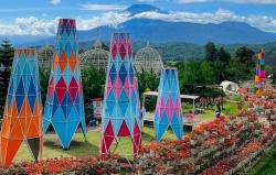 Harga Tiket Masuk Taman Bunga Celosia, Hanya Rp25.000 Dapat Beragam Spot Foto 